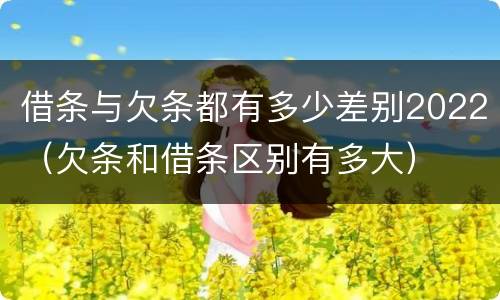 借条与欠条都有多少差别2022（欠条和借条区别有多大）