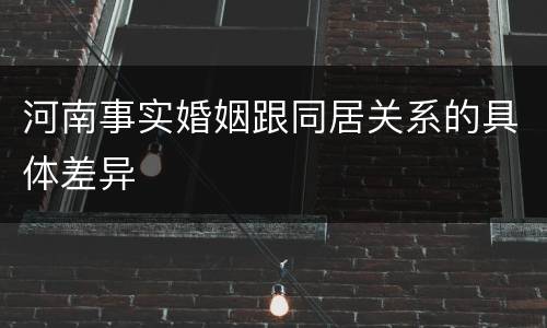 河南事实婚姻跟同居关系的具体差异