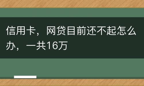 信用卡，网贷目前还不起怎么办，一共16万