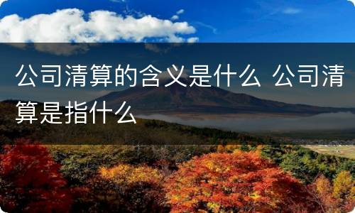 公司清算的含义是什么 公司清算是指什么