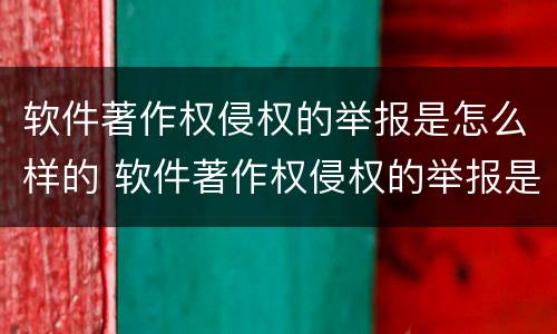 软件著作权侵权的举报是怎么样的 软件著作权侵权的举报是怎么样的过程