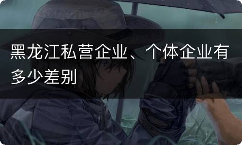 黑龙江私营企业、个体企业有多少差别
