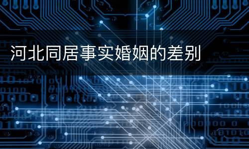河北同居事实婚姻的差别