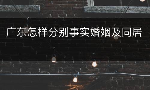 广东怎样分别事实婚姻及同居