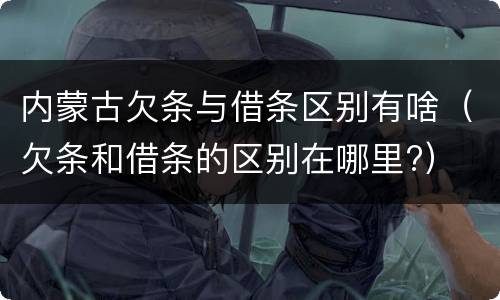 内蒙古欠条与借条区别有啥（欠条和借条的区别在哪里?）