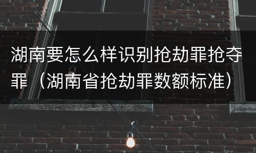 湖南要怎么样识别抢劫罪抢夺罪（湖南省抢劫罪数额标准）