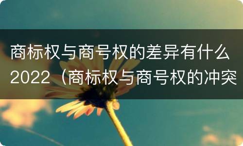 商标权与商号权的差异有什么2022（商标权与商号权的冲突以及解决）