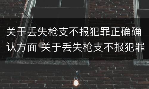 关于丢失枪支不报犯罪正确确认方面 关于丢失枪支不报犯罪正确确认方面的问题