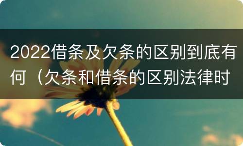 2022借条及欠条的区别到底有何（欠条和借条的区别法律时间多少年）