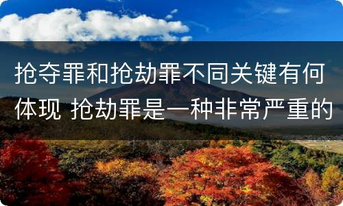 抢夺罪和抢劫罪不同关键有何体现 抢劫罪是一种非常严重的犯罪