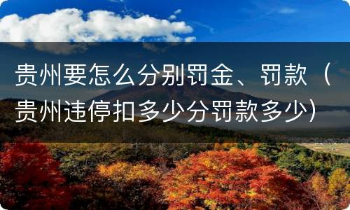 贵州要怎么分别罚金、罚款（贵州违停扣多少分罚款多少）
