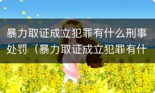 暴力取证成立犯罪有什么刑事处罚（暴力取证成立犯罪有什么刑事处罚吗）