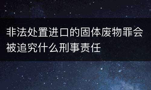 非法处置进口的固体废物罪会被追究什么刑事责任