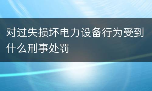 对过失损坏电力设备行为受到什么刑事处罚