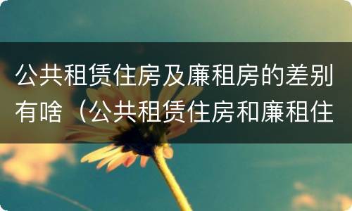 公共租赁住房及廉租房的差别有啥（公共租赁住房和廉租住房并轨运行）