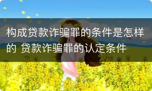 构成贷款诈骗罪的条件是怎样的 贷款诈骗罪的认定条件