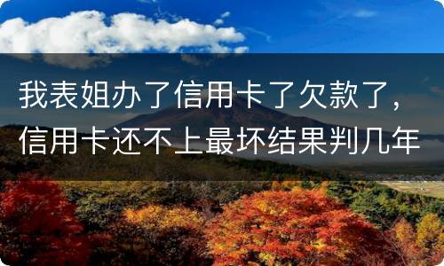 我表姐办了信用卡了欠款了，信用卡还不上最坏结果判几年
