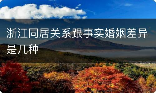 浙江同居关系跟事实婚姻差异是几种