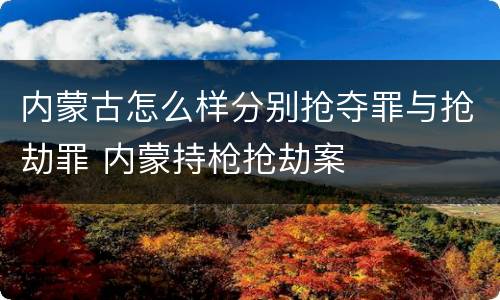 内蒙古怎么样分别抢夺罪与抢劫罪 内蒙持枪抢劫案