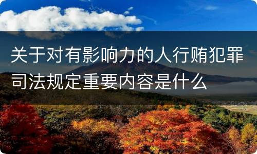 关于对有影响力的人行贿犯罪司法规定重要内容是什么