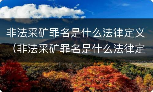 非法采矿罪名是什么法律定义（非法采矿罪名是什么法律定义的）