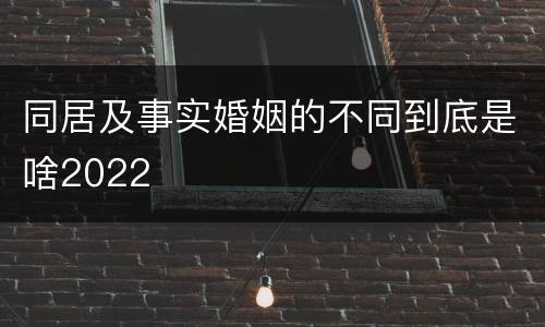 同居及事实婚姻的不同到底是啥2022