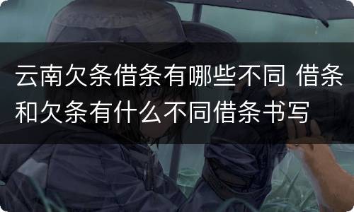 云南欠条借条有哪些不同 借条和欠条有什么不同借条书写