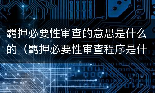 羁押必要性审查的意思是什么的（羁押必要性审查程序是什么意思）