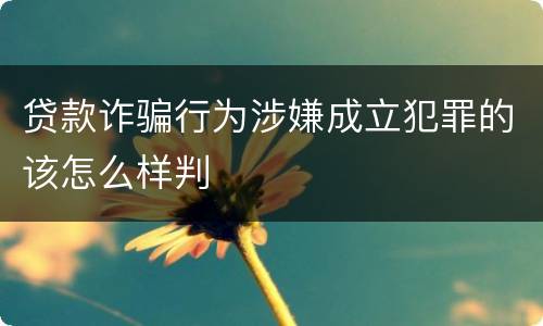 贷款诈骗行为涉嫌成立犯罪的该怎么样判