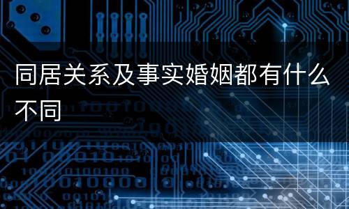 同居关系及事实婚姻都有什么不同