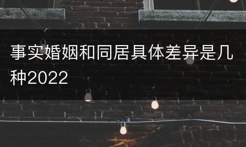 事实婚姻和同居具体差异是几种2022