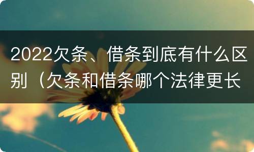 2022欠条、借条到底有什么区别（欠条和借条哪个法律更长）