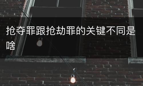 抢夺罪跟抢劫罪的关键不同是啥
