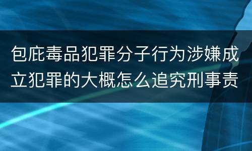 包庇毒品犯罪分子行为涉嫌成立犯罪的大概怎么追究刑事责任