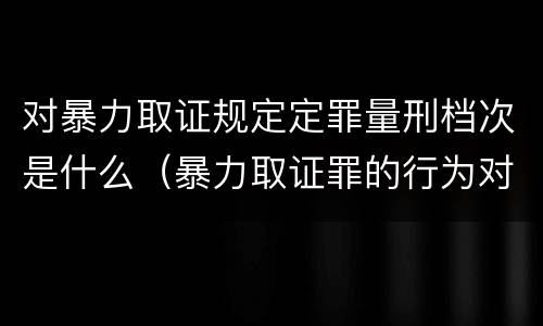 对暴力取证规定定罪量刑档次是什么（暴力取证罪的行为对象）