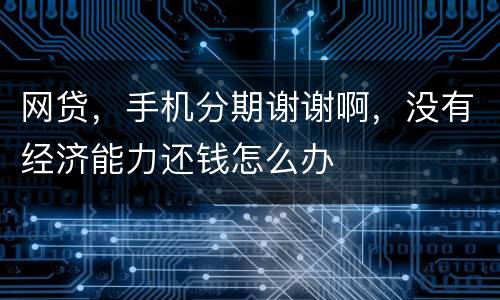 网贷，手机分期谢谢啊，没有经济能力还钱怎么办