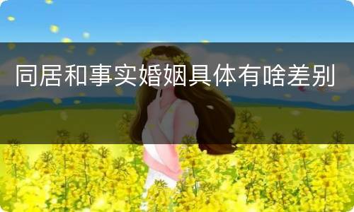 同居和事实婚姻具体有啥差别