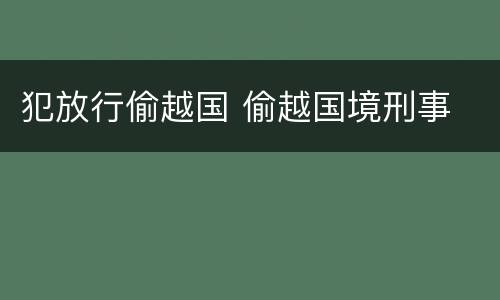 犯放行偷越国 偷越国境刑事