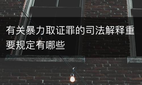 有关暴力取证罪的司法解释重要规定有哪些