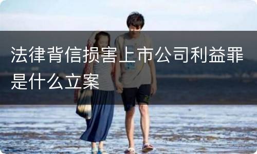 法律背信损害上市公司利益罪是什么立案