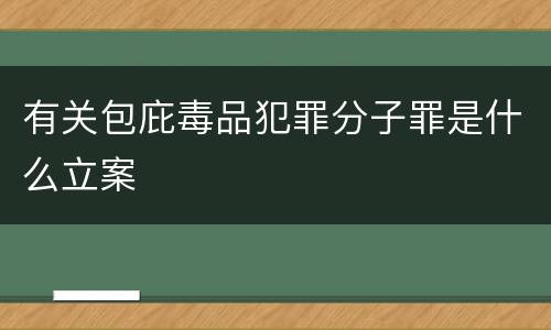 有关包庇毒品犯罪分子罪是什么立案