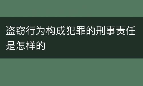 盗窃行为构成犯罪的刑事责任是怎样的
