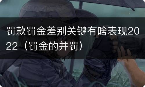 罚款罚金差别关键有啥表现2022（罚金的并罚）