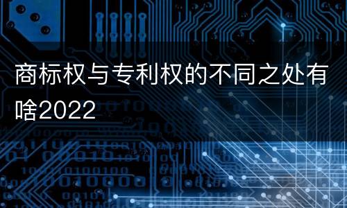 商标权与专利权的不同之处有啥2022