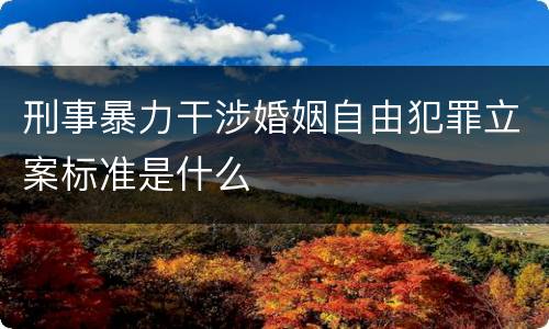 刑事暴力干涉婚姻自由犯罪立案标准是什么