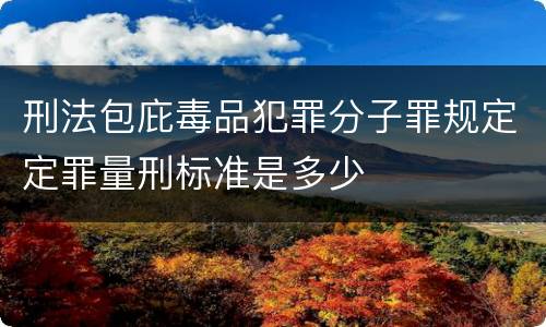 刑法包庇毒品犯罪分子罪规定定罪量刑标准是多少