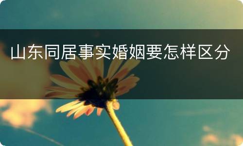 山东同居事实婚姻要怎样区分