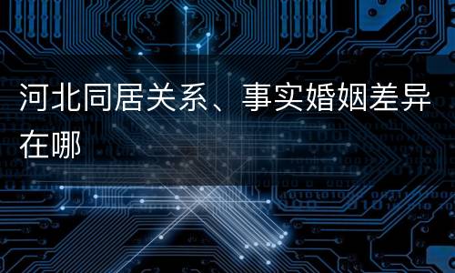 河北同居关系、事实婚姻差异在哪