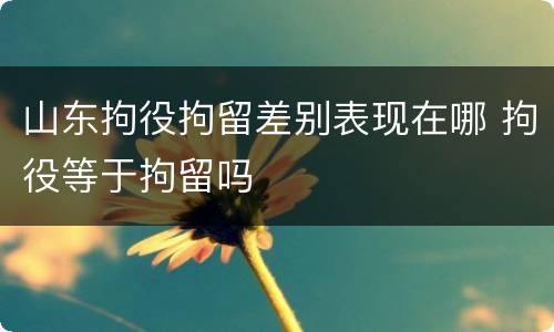 山东拘役拘留差别表现在哪 拘役等于拘留吗