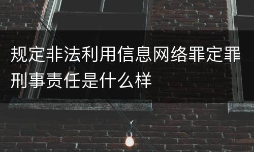 规定非法利用信息网络罪定罪刑事责任是什么样